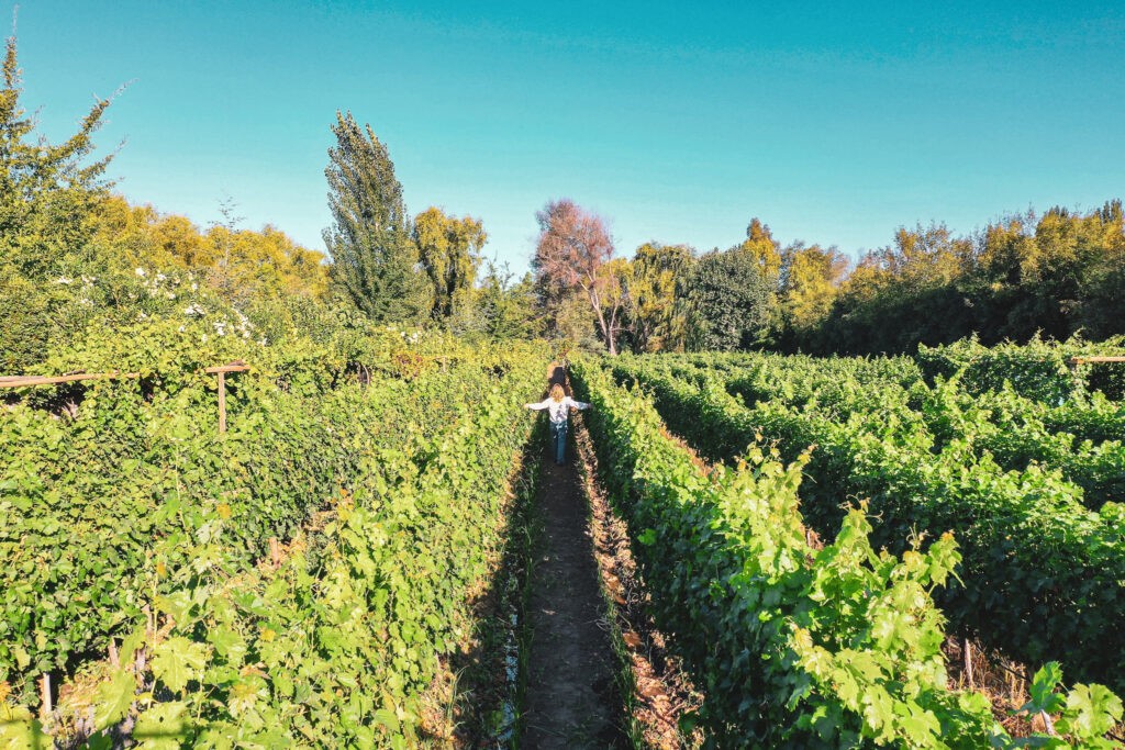 santa cruz hote cava colchagua