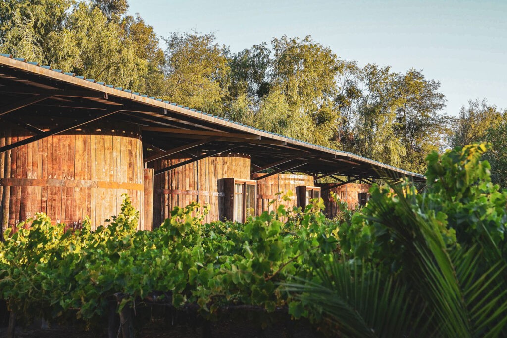 Viña Santa Cruz Colchagua